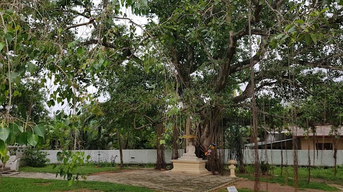 Temple 3